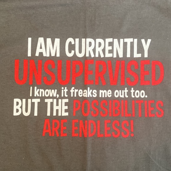 Gildan Other - 🤑 Novelty T-shirt, Adult Medium, Gildan , New